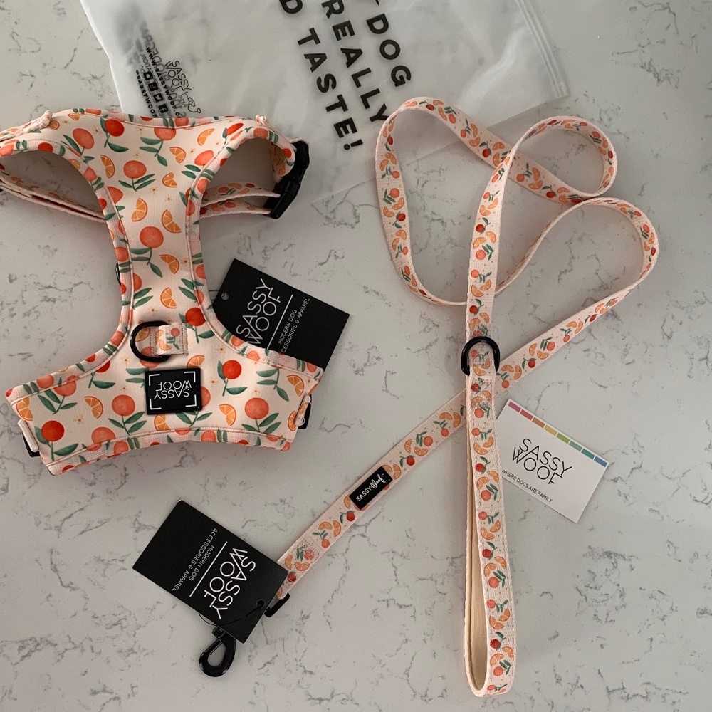 SASSY WOOF Simply the Zest adjustable harness and leash Oranges Medium